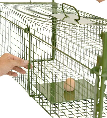 /assets/images/5/deufa-luna-drahtkastenfalle-schritt-04a-38380764.jpg