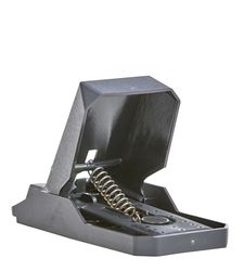 /assets/images/f/deufa-mausefalle-plasticat-03-u-b996346d.jpg
