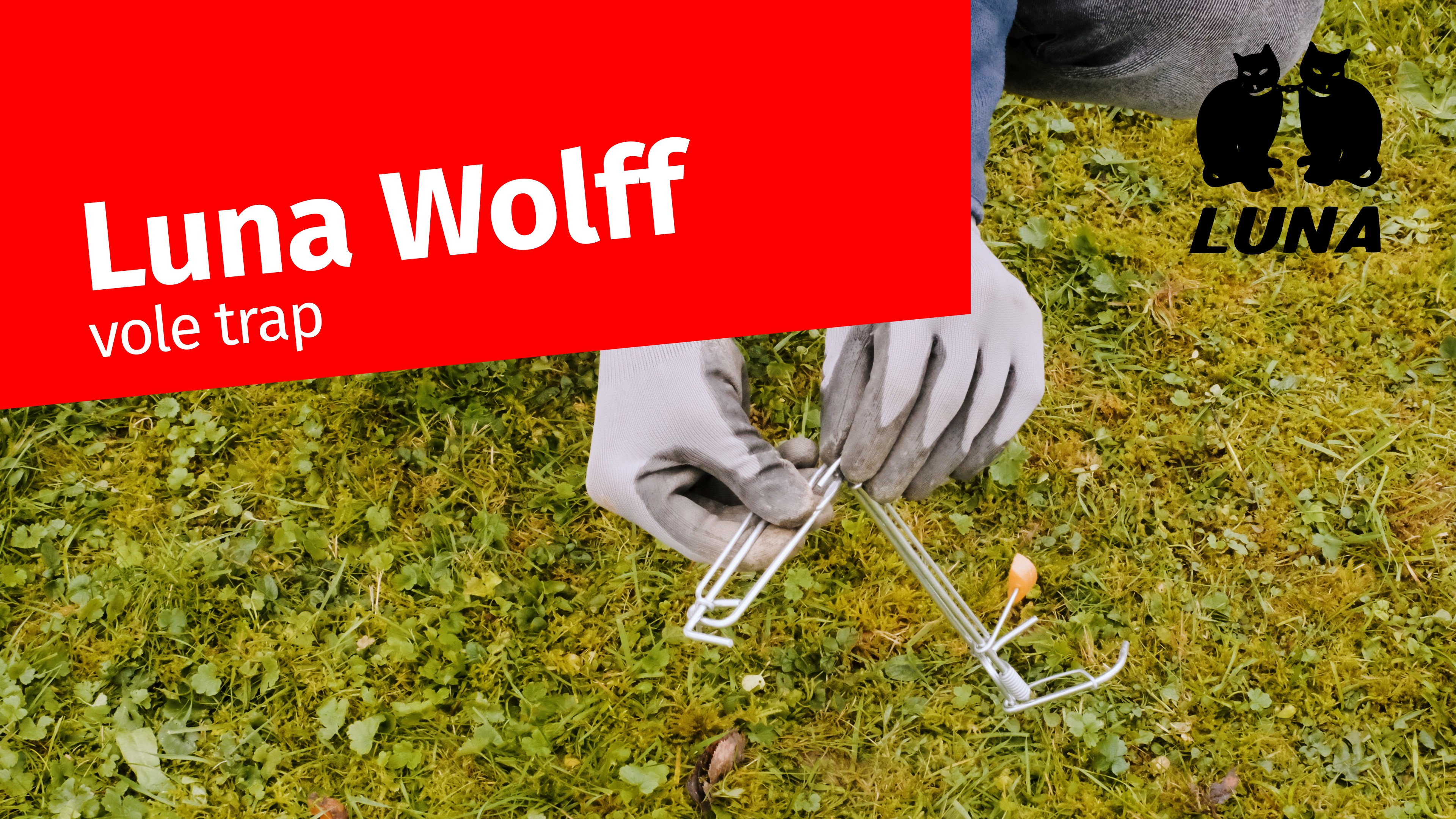 /files/dateien/bilder/video%20preview%20image/DEUFA_FallenTutorial_01_WMFwolff_ENG_TN.jpg